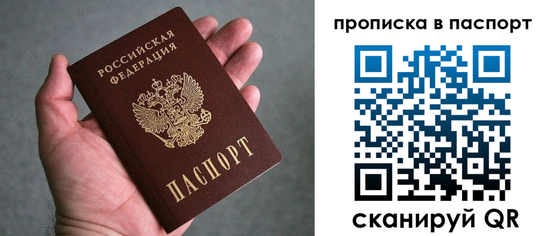 прописка гарантия в Брянске