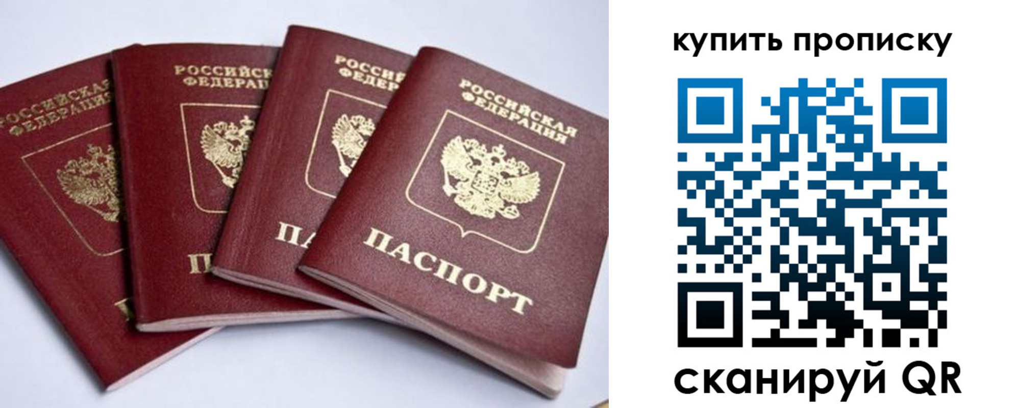 прописка от собственника в Брянске